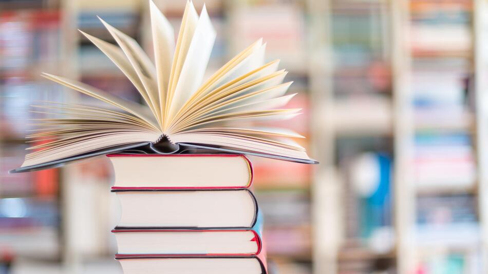 Bücher, Intelligenz, Weltbildungstag, Lesen, Wissen, Kinder, Denkspiele, Allgemeinbildung, Logik