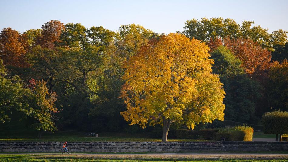 Herbst in Sachsen