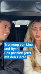 Trennung von Lina und Ryan: Das passiert jetzt mit den Tieren