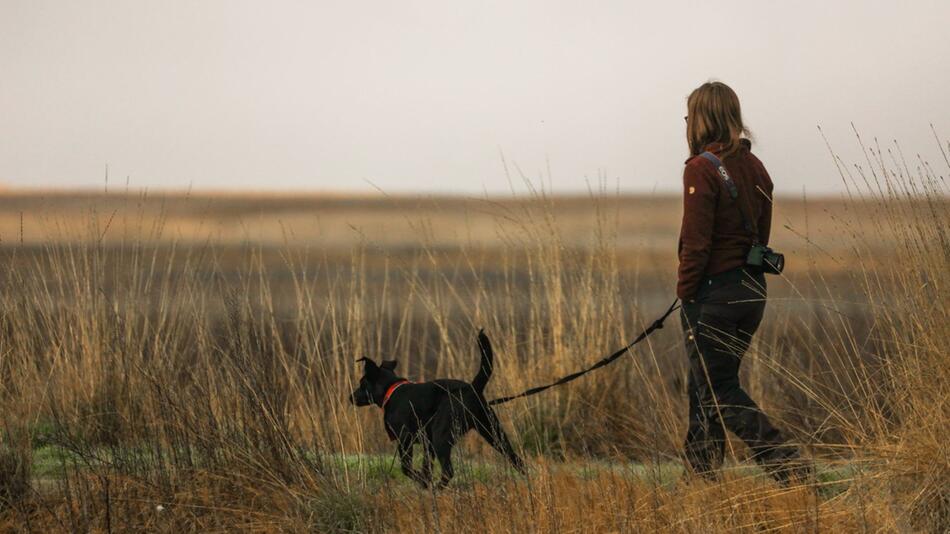 Ist Dein Hund beim Gassi-gehen zu aufgeregt?