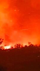 Hitzewelle befeuert Waldbrände in Nordspanien – Todesopfer und Evakuierungen