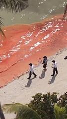 Öl an thailändischem Strand