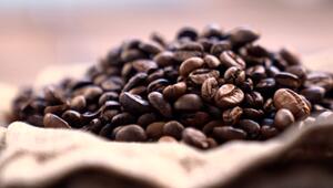 Überraschende Studienergebnisse: Kaffee wirkt auch ohne Koffein positiv