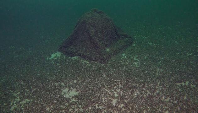 Gin-Kugel im Bodensee gefunden