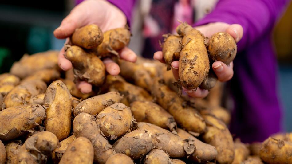 Eine Frau hält Kartoffeln in den Händen