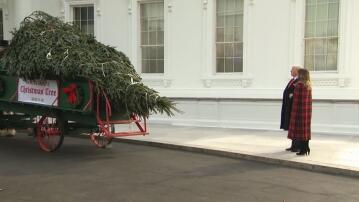 Donald Trump, Weihnachtsbaum, Weißes Haus,