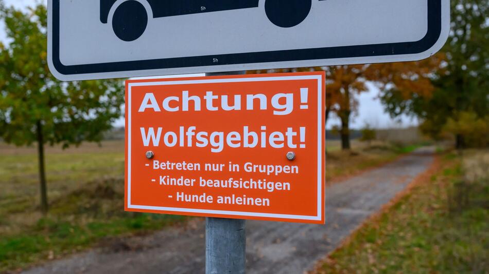 "Achtung! Wolfsgebiet!" Amt stellt Schilder auf