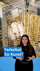 Kunstinstallation: Ferkel sollten verhungern