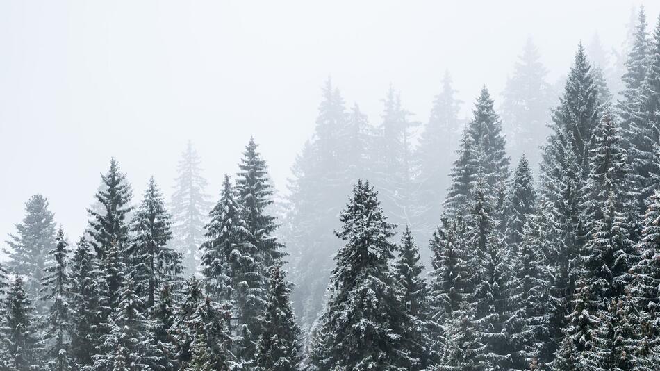 Erster Schnee auf dem Feldberg