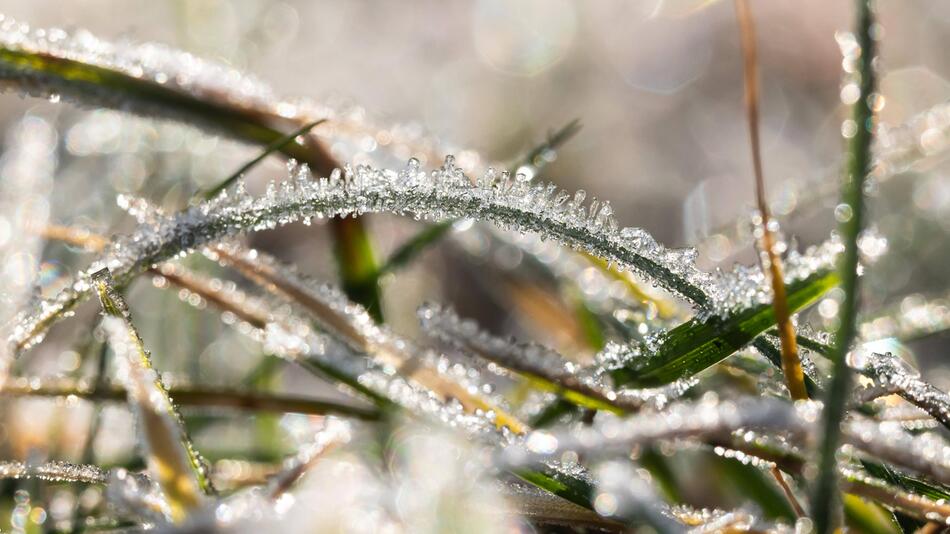 Das Wetter bleibt zwischen frostigen Nächten und milden Tagen.