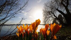 Frühling an der Alster
