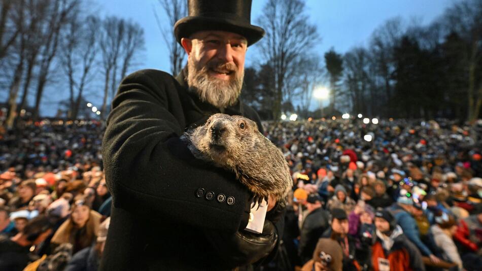 Punxsutawney Phil beim Murmeltiertag 2024