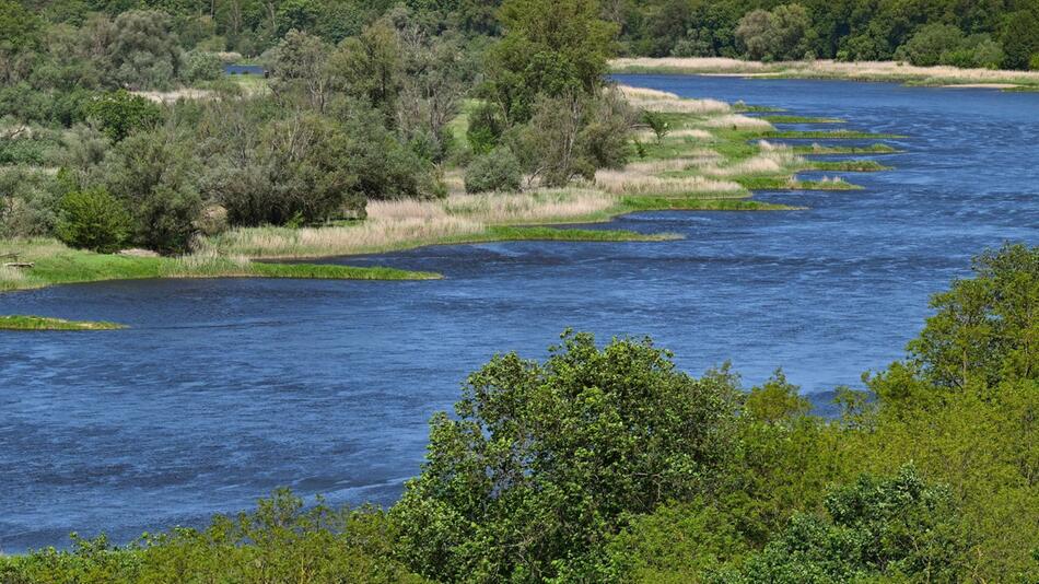 Landschaft am deutsch-polnischen Grenzfluss Oder