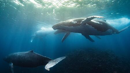 Diese Nachrichten machen Hoffnung