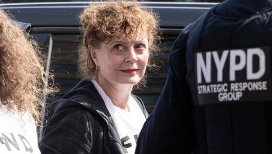 Susan Sarandon bei der Demonstration in New York.
