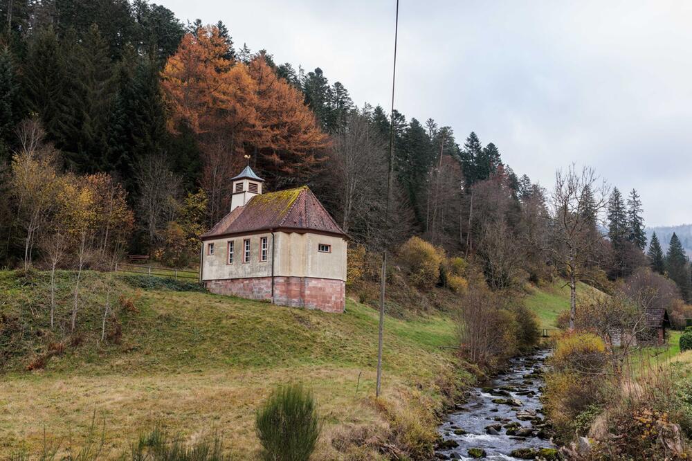 Erweiterung Nationalpark Schwarzwald