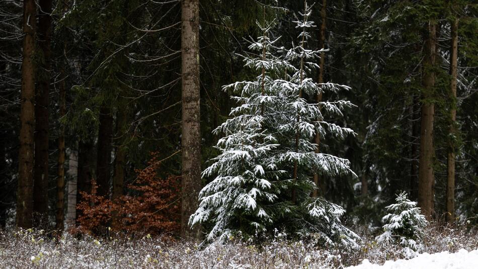 Winter in Thüringen