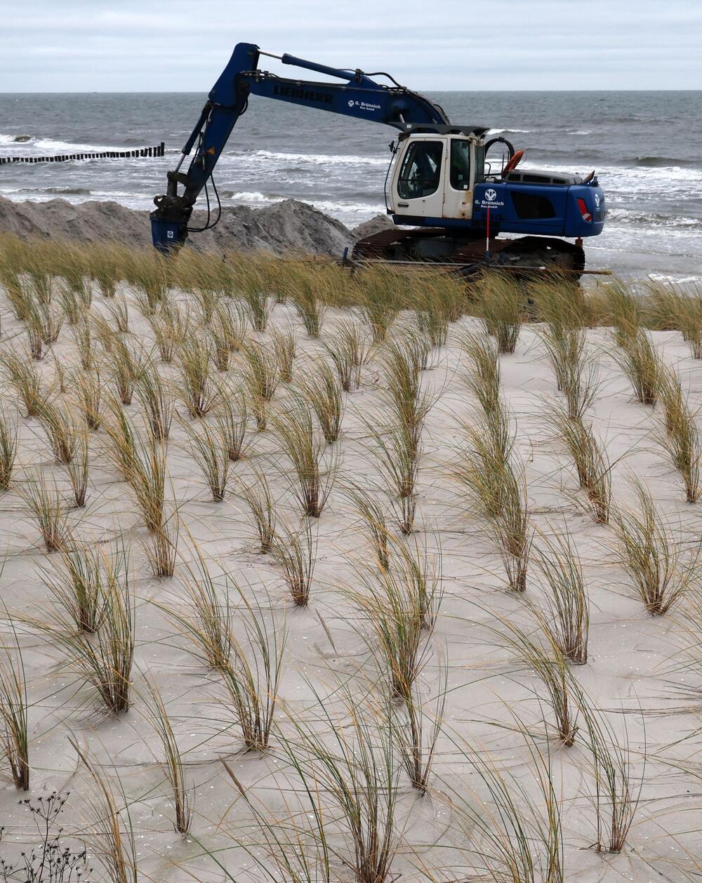 Buhnenbau an der Ostsee