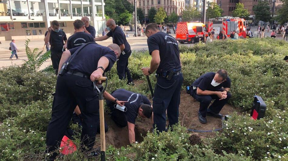 Chihuahua-Hündin «Rosa» steckt Stunden in Kaninchenbau fest