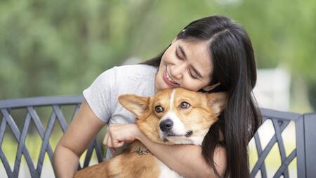 Achtung im Umgang mit Hunden: Diese Gesten sollten Sie vermeiden