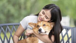 Ein Mädchen sitzt auf einer Bank und umarmt einen Corgi.
