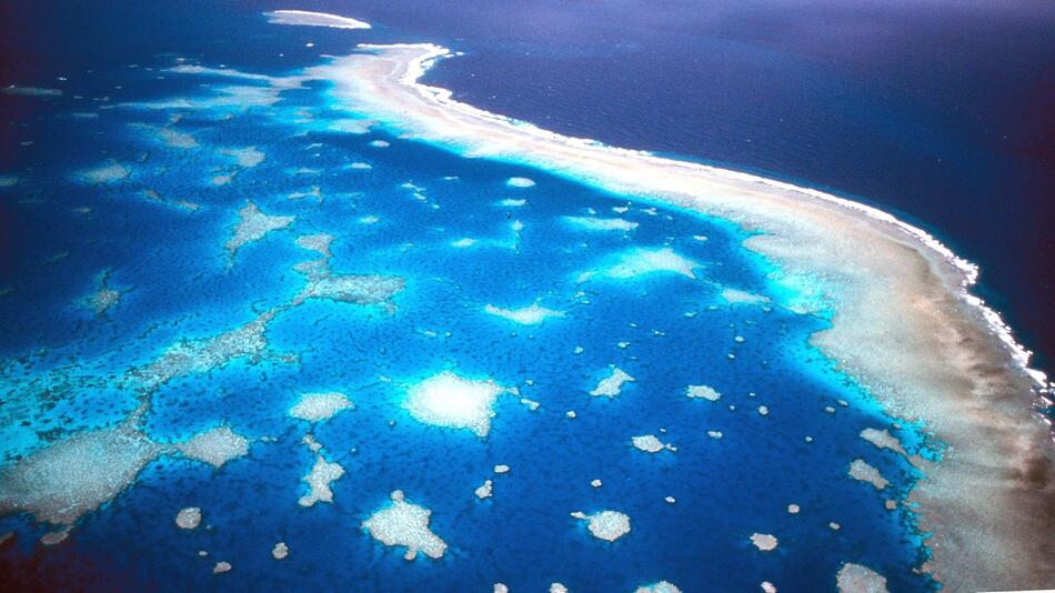 Great Barrier Reef