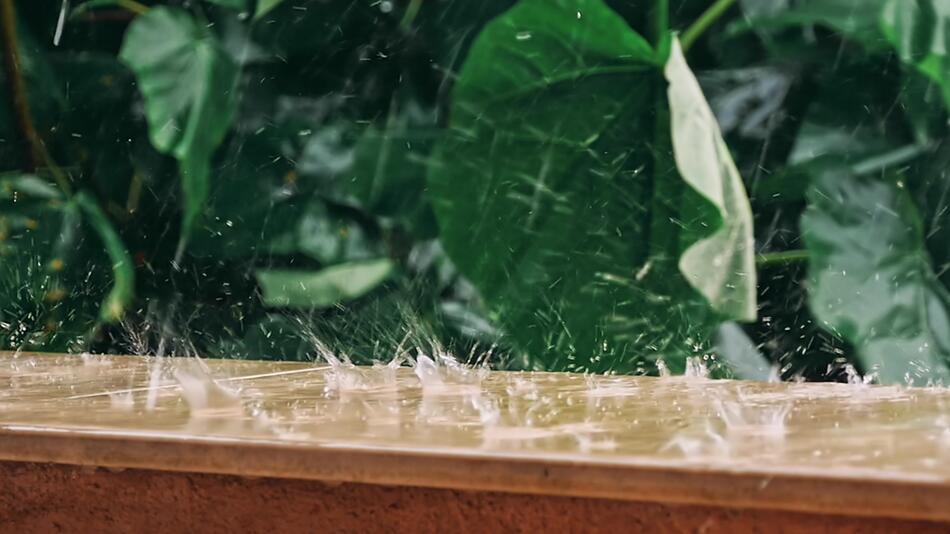 Neue Studie: Giftige Chemikalien in Regenwasser nachgewiesen
