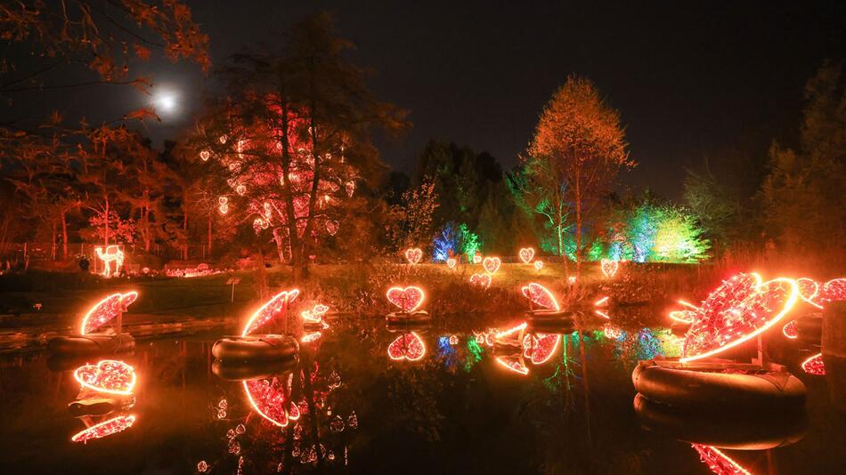 "Christmas Garden" im Loki-Schmidt-Garten