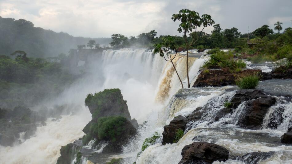 Regen ließ die Iguazú-Wasserfälle ansteigen.