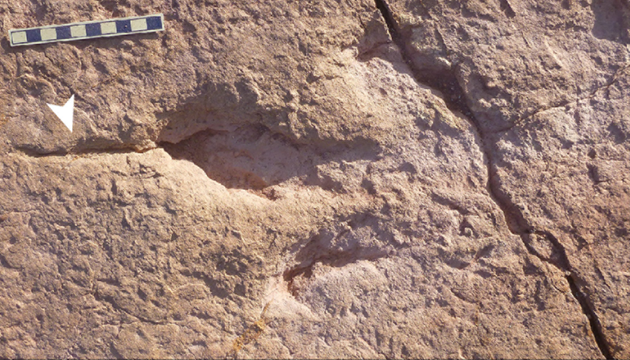 Dino-Fußspur in Bolivien