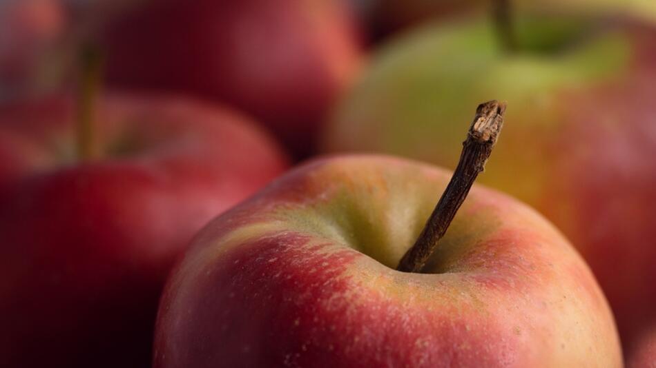 Achte bei den Zutaten für den Fenchelsalat mit Apfel möglichst auf Bio-Qualität.