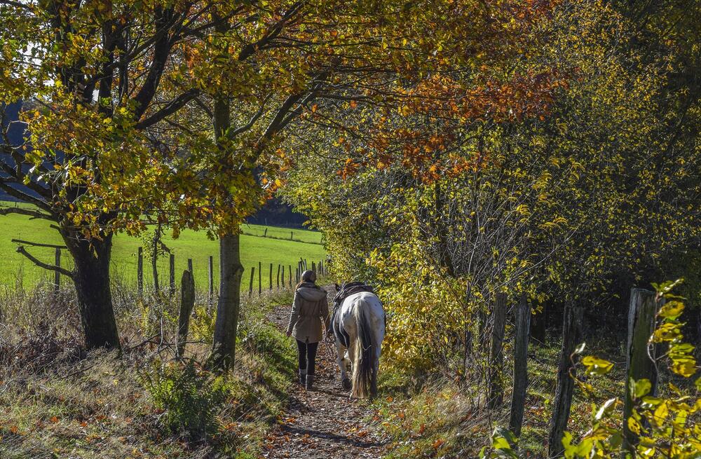 Herbst: Eine Frau geht mit ihrem Pferd spazieren.