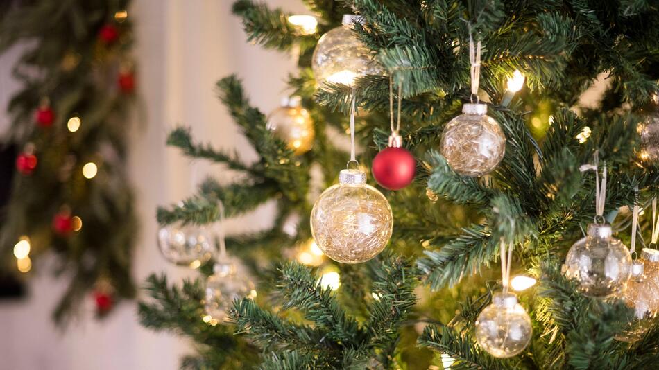 Baum geschmückt mit roten und goldenen Kugeln.