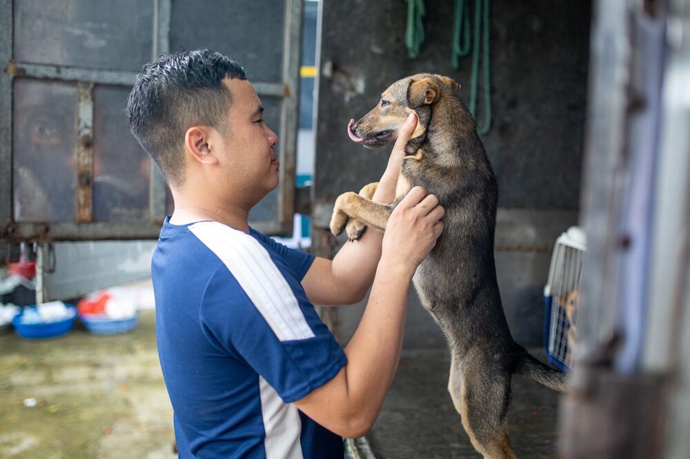 Hundefleischhandel in Vietnam