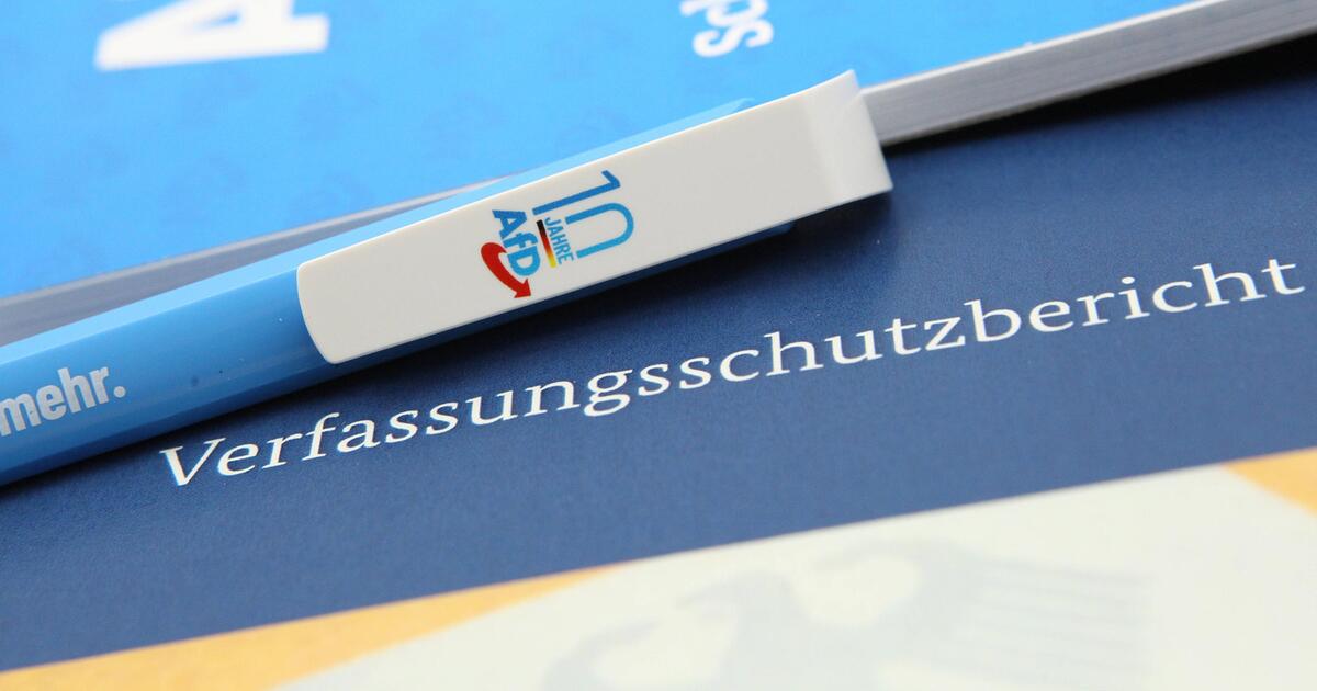 AfD Scheitert Mit Eilantrag Gegen Verfassungsschutzbericht 2022 | 1&1