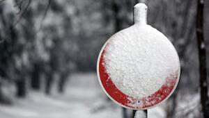 Verschneites Verkehrsschild