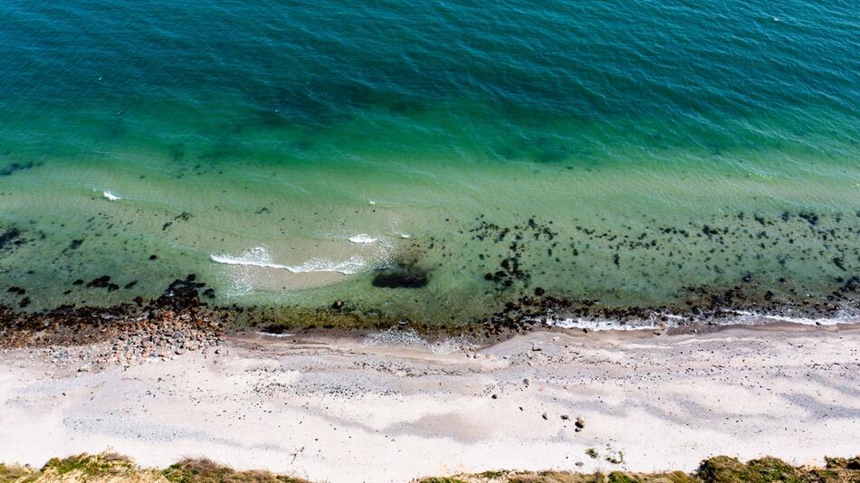 Meeresforscher berichten über Zustand von Nord- und Ostsee