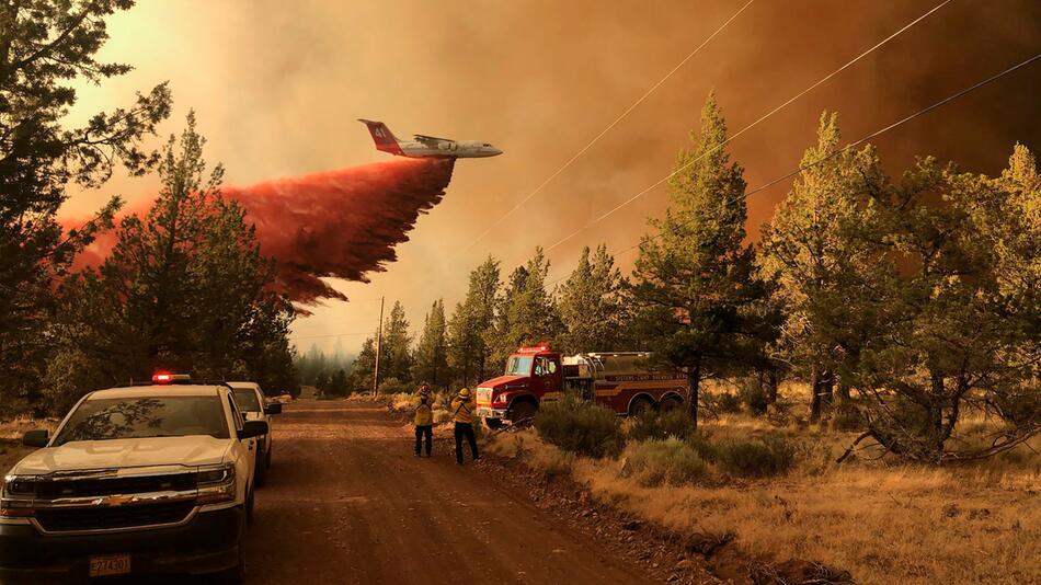 Waldbrände in den USA - Oregon