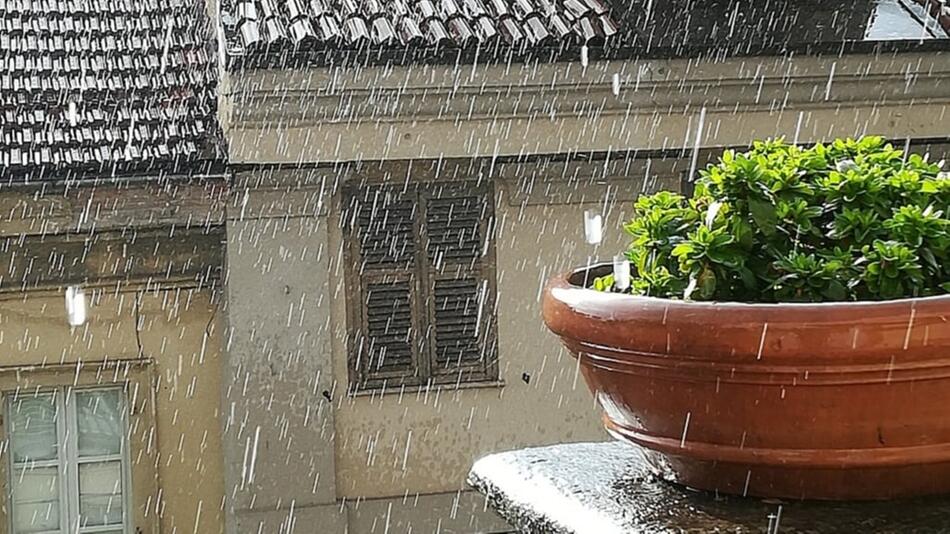 regenwasser sammeln balkon