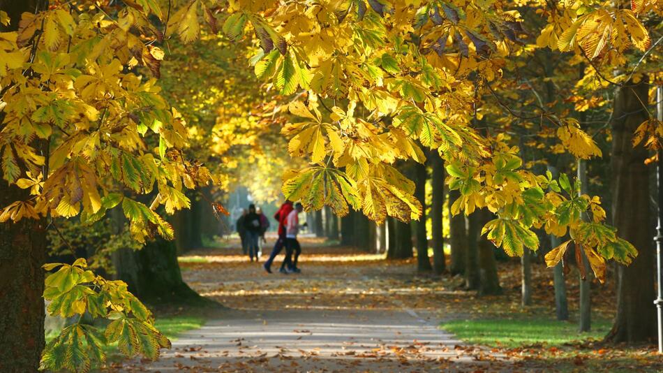 Goldenes Herbstwetter in der Hauptstadt