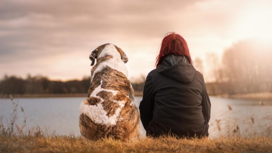 Bark Date