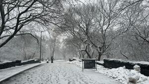 Winterwetter in New York