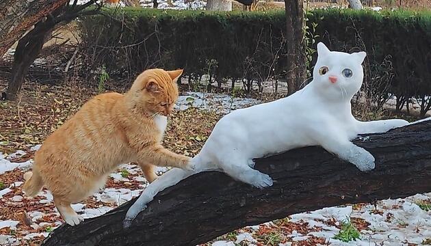 Eiskalte Artgenossin: Katze ist von Schnee-Katze völlig verwirrt