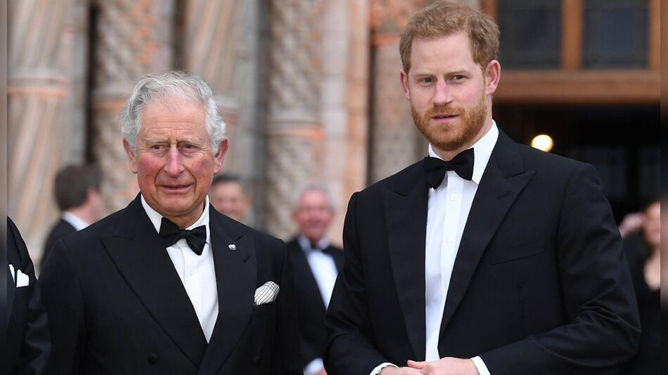 Darf Prinz Harry noch länger als Vertretung seines Vaters König Charles fungieren?
