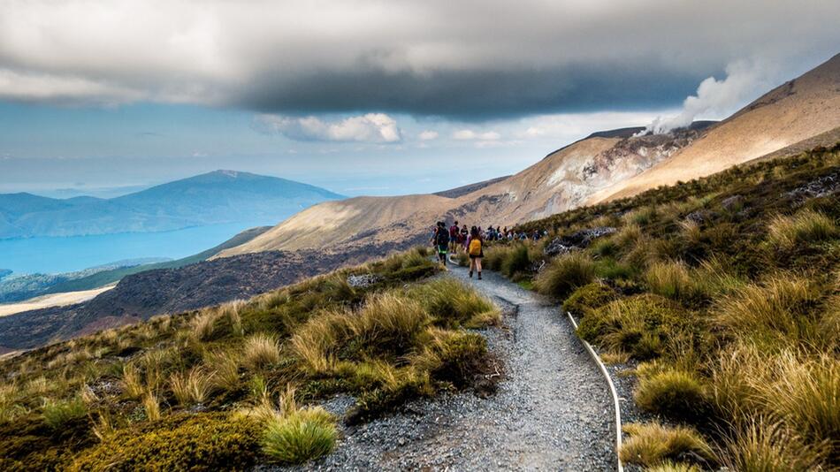 In Neuseeland beginnt im Oktober der Frühling.