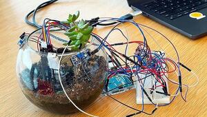 „PlantGPT“: US-Studenten geben Zimmerpflanzen eine Stimme