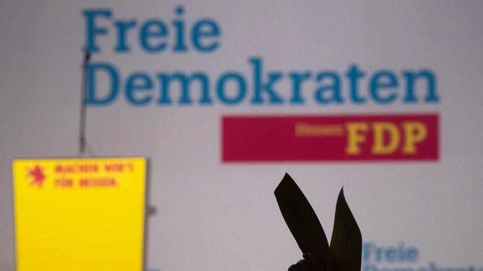 FDP-Mitgliederbefragung