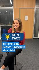 Fun Fact: Bananen sind Beeren, Erdbeeren nicht