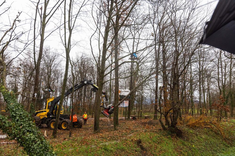 Aktivisten sollen Waldgebiet in Freiburg verlassen