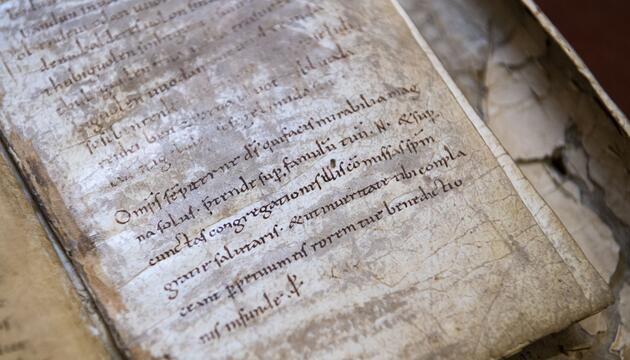 Hexerei und Zauberei